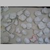 ceramica04.jpg